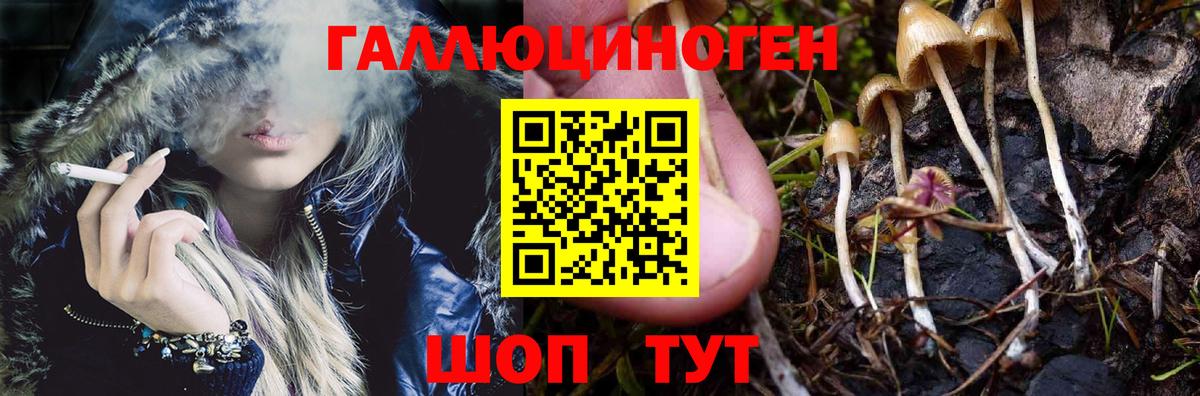купить  сайты  Галлюциногенные грибы мицелий  Вход с VPN  Чайковский 